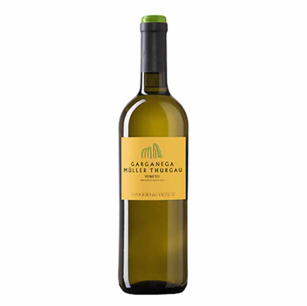 Verga Gargantua Muller Thurgau